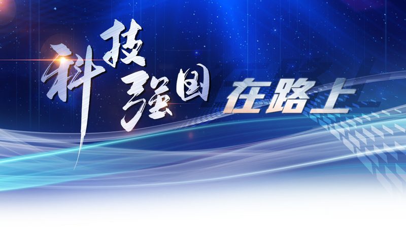 国产ERP软件：助力企业数字化转型的重要伙伴**